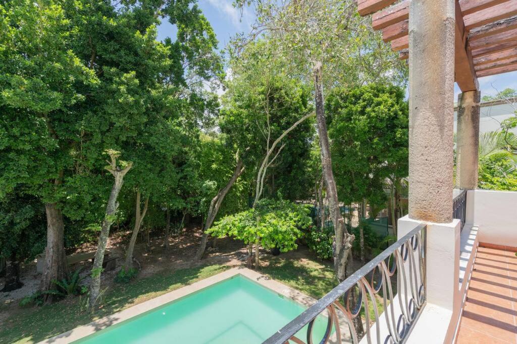 Photo of Outdoor in Playacar