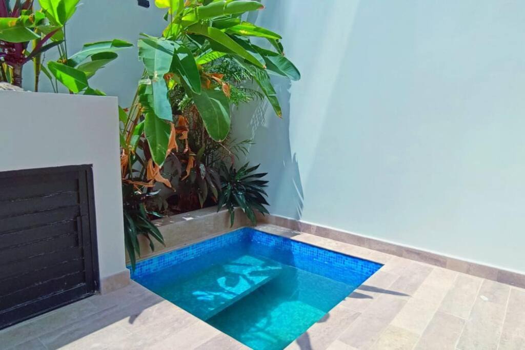 Photo of Outdoor in Zama