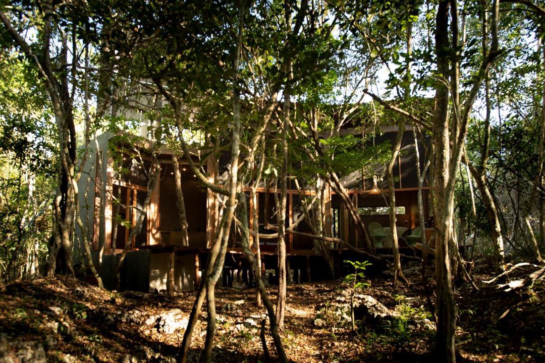 Photo of Others in Tulum
