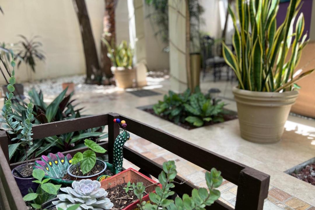 Photo of Patio Balcony in Bacalar