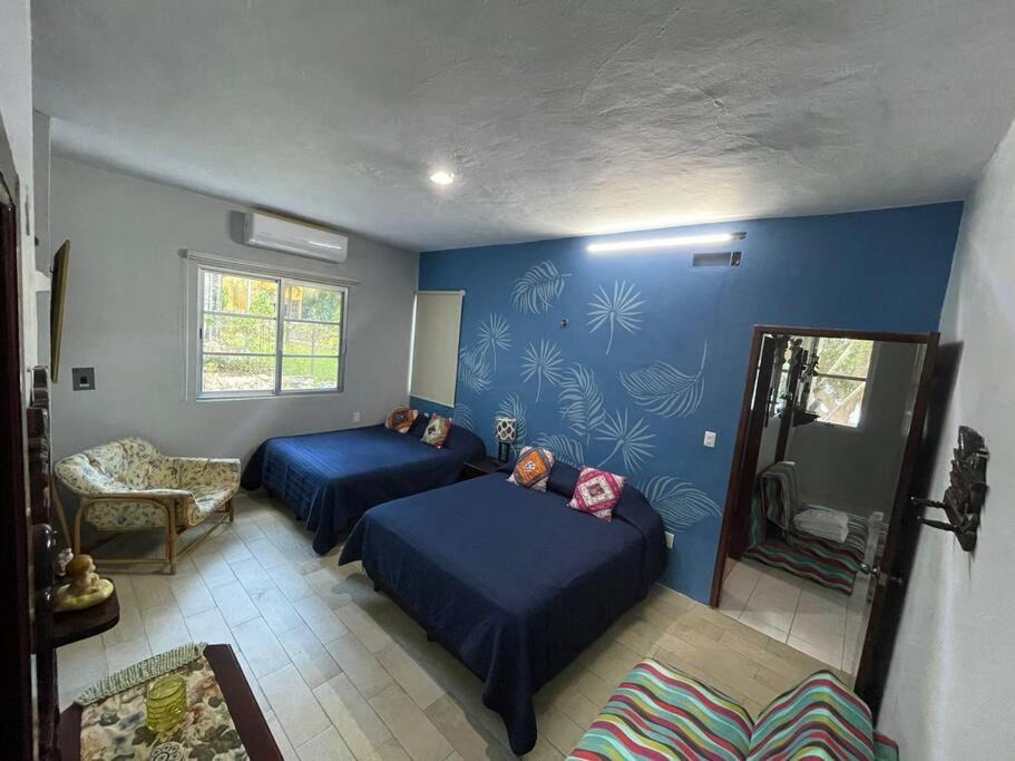 Photo of Livingroom in Chetumal