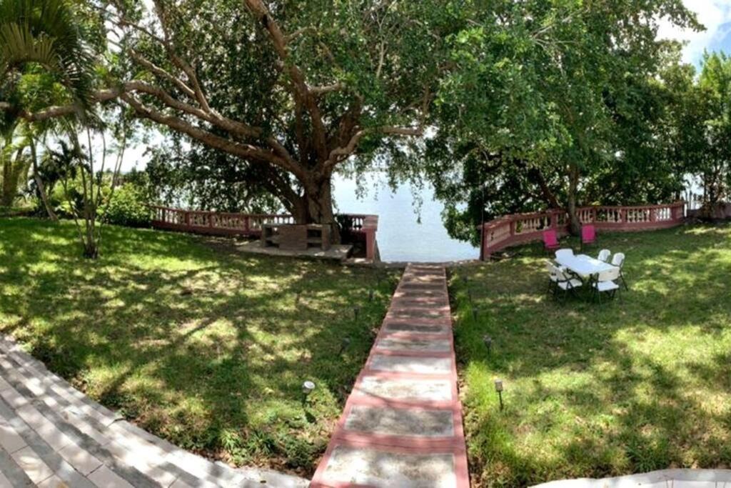 Photo of Others in Chetumal