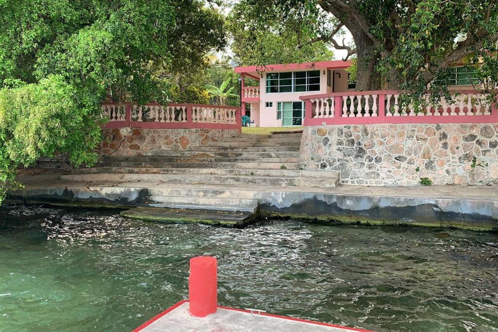 Photo of Others in Chetumal