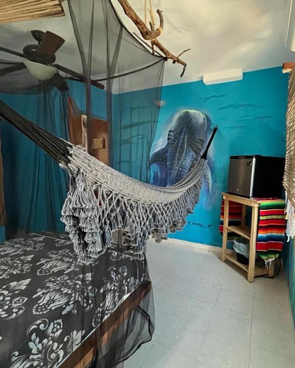 Photo of Others in Downtown Holbox