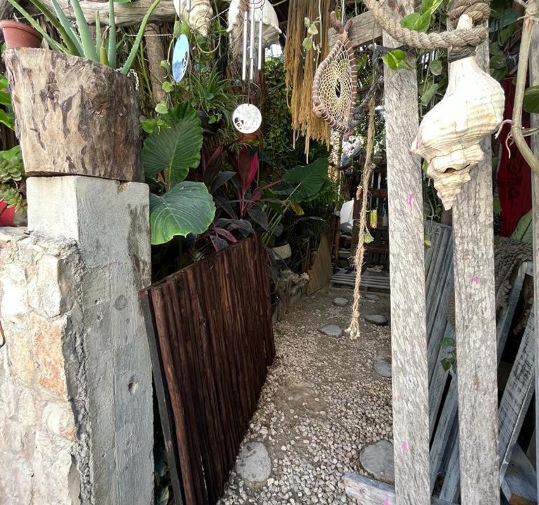 Photo of Others in Downtown Holbox