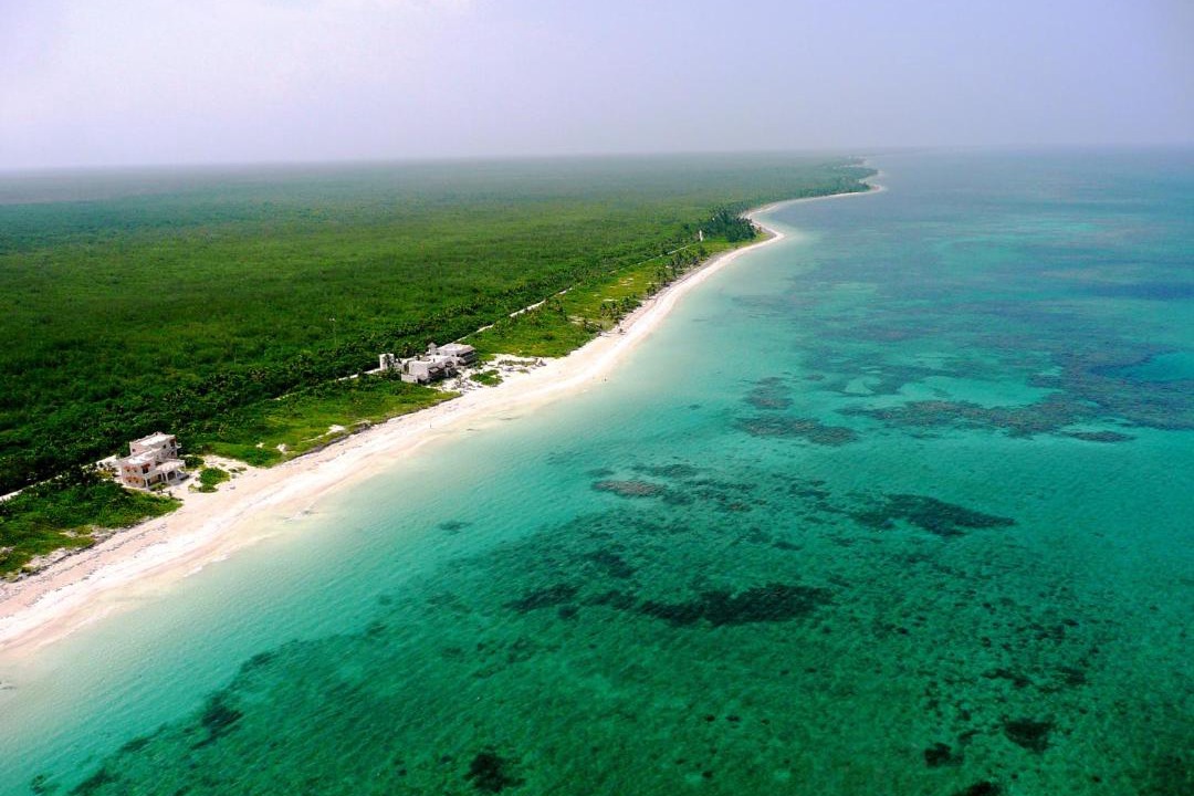 Photo of Others in Mahahual