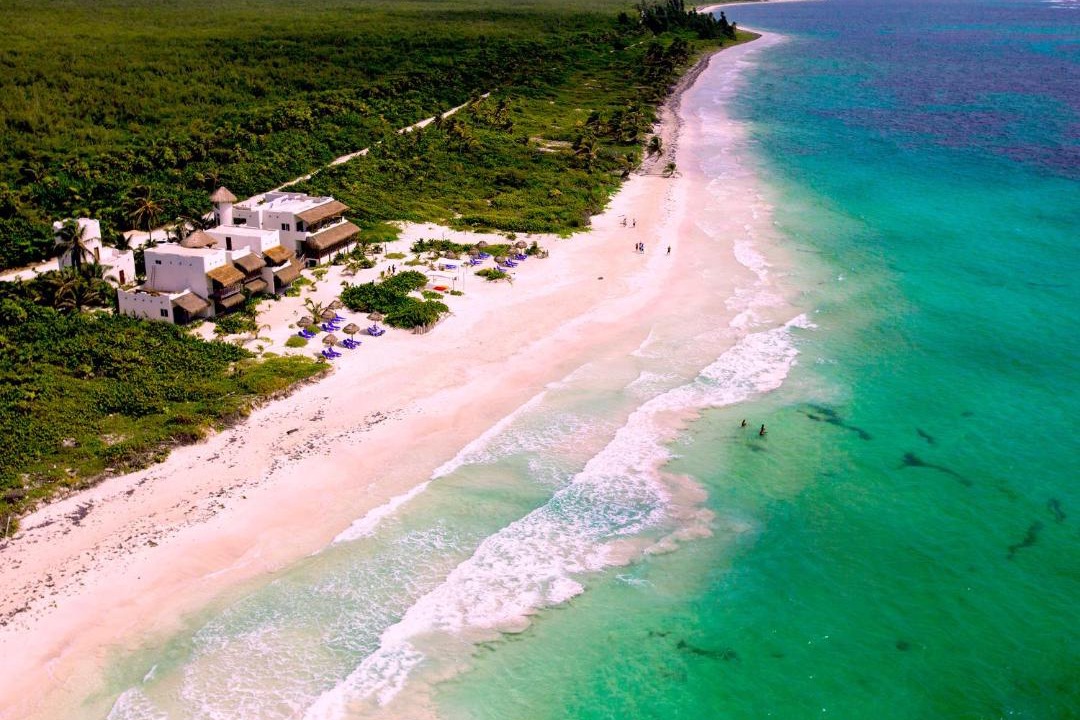 Photo of Others in Mahahual