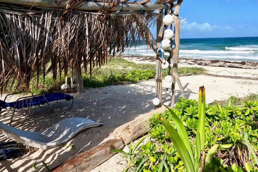 Photo of Others in Cozumel