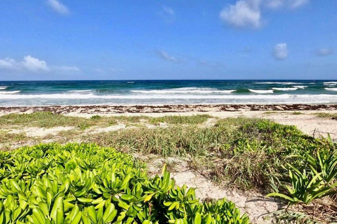 Photo of Outdoor in Cozumel