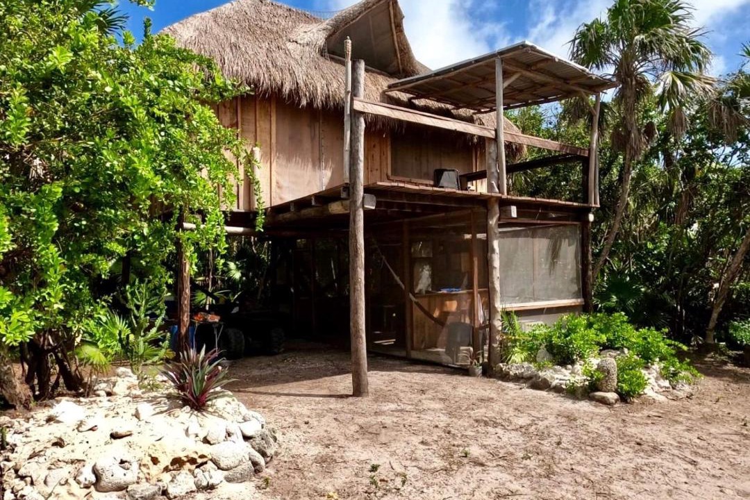 Photo of Buildings in Cozumel