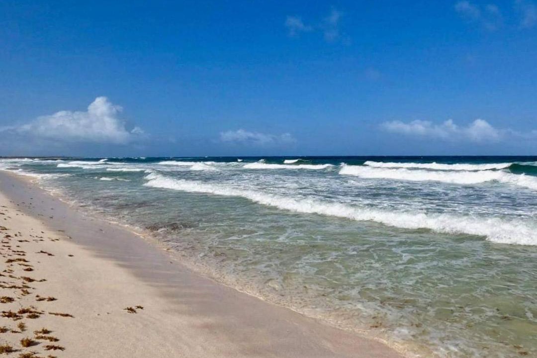 Photo of Outdoor in Cozumel