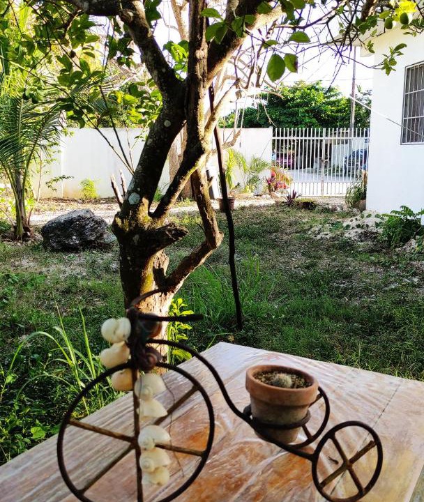 Photo of Patio Balcony in Diego Rojas Zapata