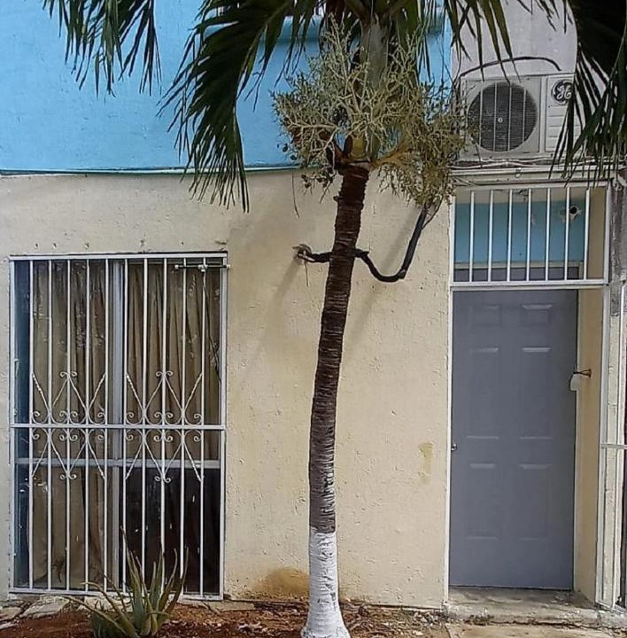 Photo of Buildings in Cancun