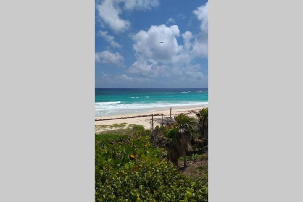 Photo of Others in Cozumel