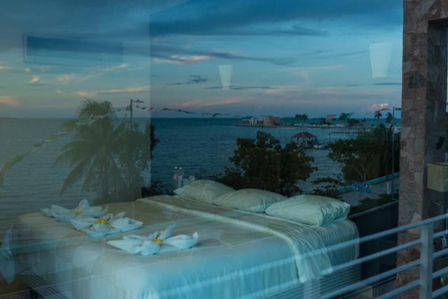 Photo of Others in Chetumal