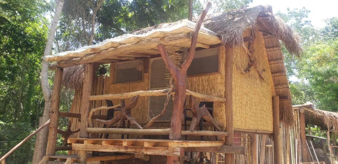 Photo of Others in Othon P. Blanco