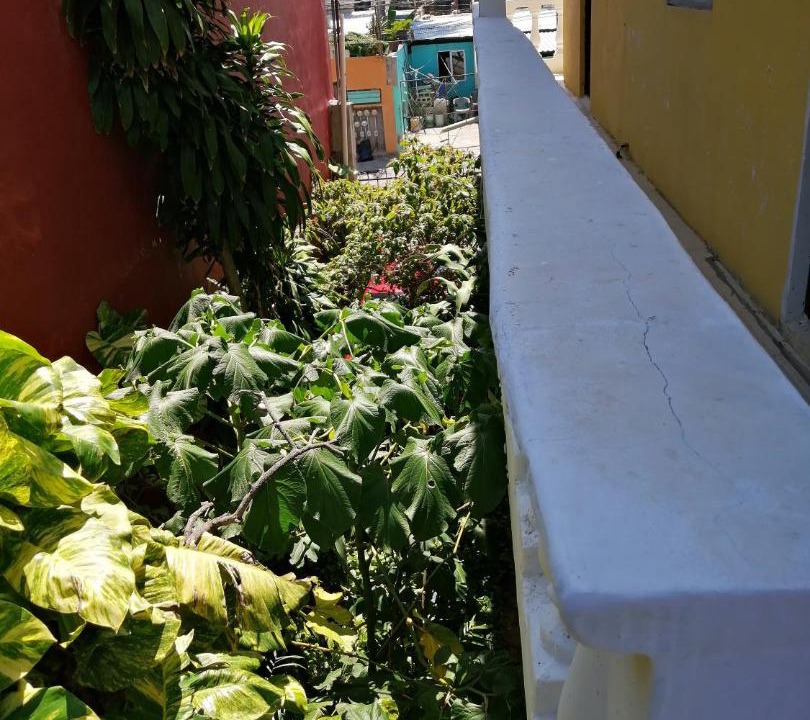 Photo of Patio Balcony in Luis Donaldo Colosio