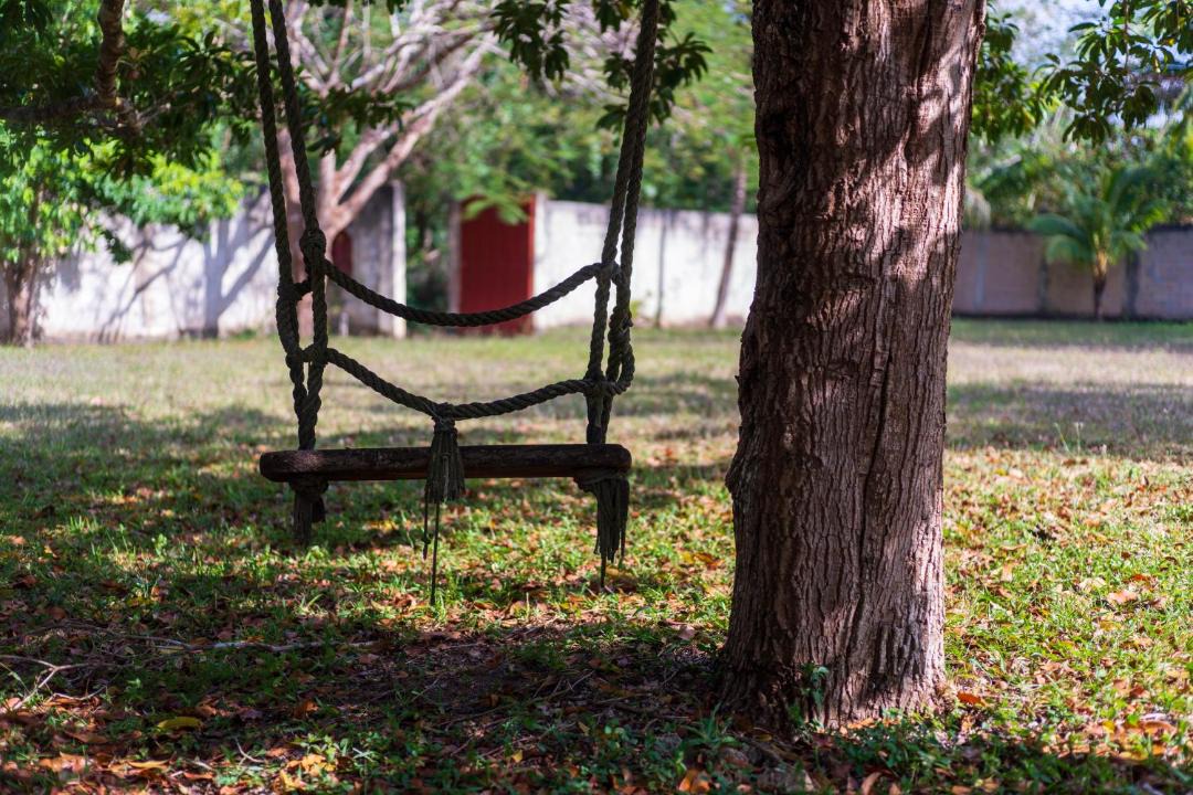 Photo of Outdoor in Leona Vicario