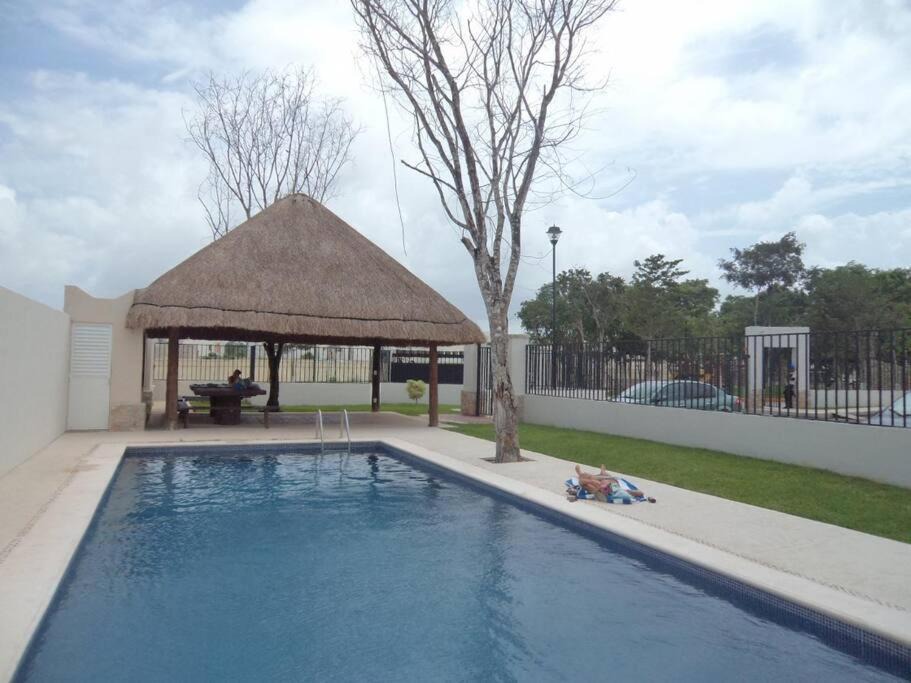 Photo of Outdoor in Puerto Juarez