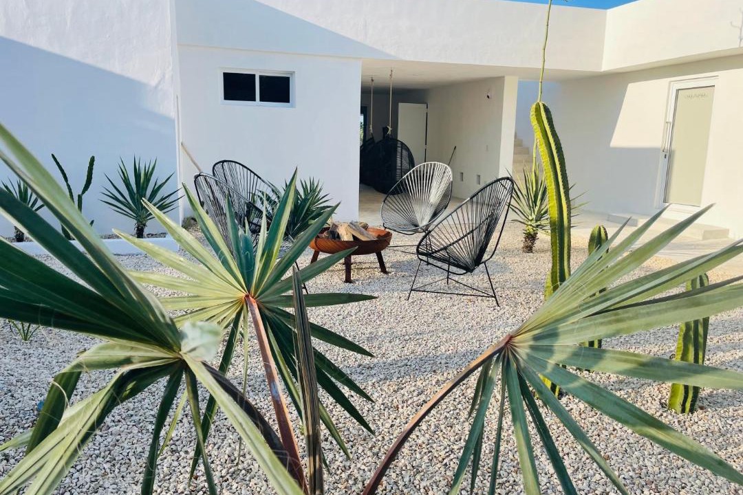 Photo of Others in Sisal