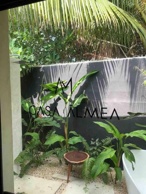 Photo of Others in Sisal
