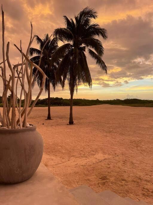 Photo of Others in Sisal