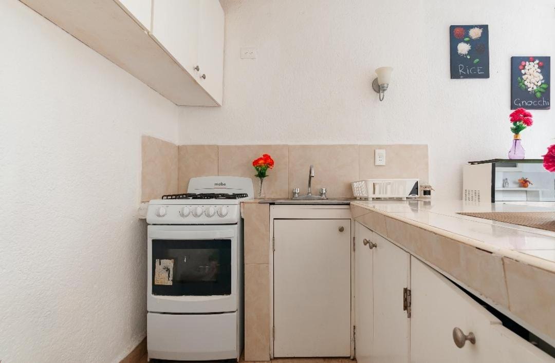 Photo of Kitchen in Zona Hotelera