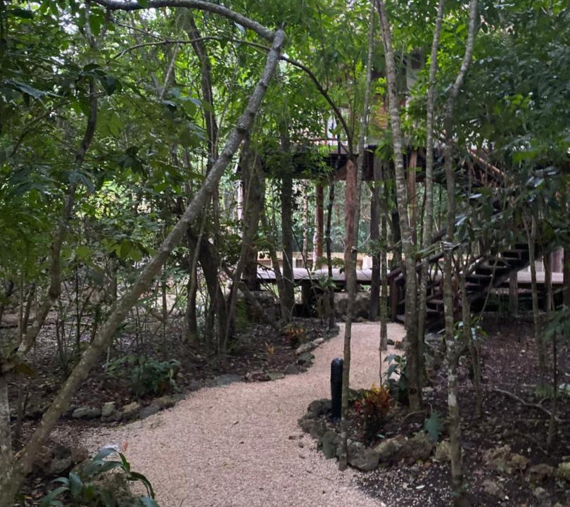 Photo of Others in Bacalar