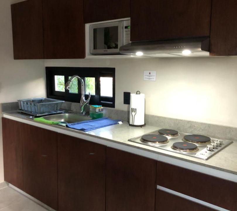 Photo of Kitchen in Mario Villanueva Madrid