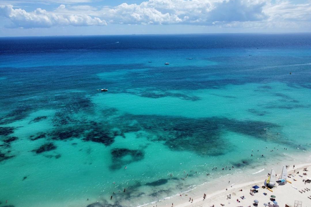 Photo of Others in Playa del Carmen