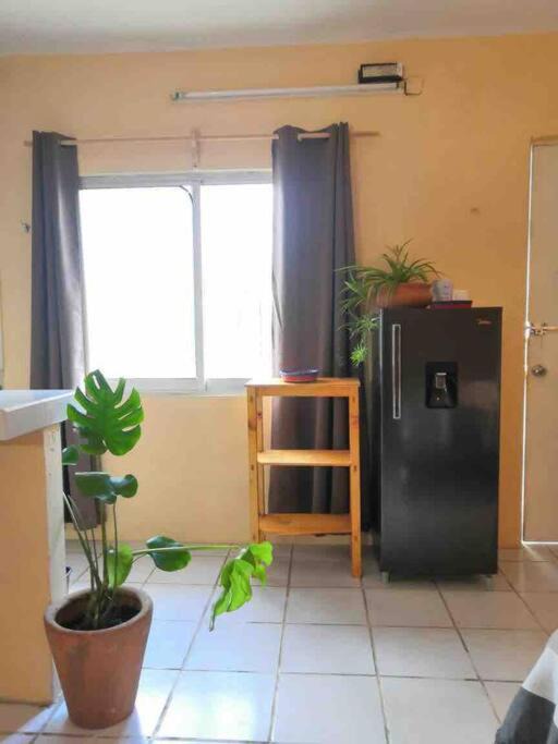 Photo of Livingroom in Tulum City Center