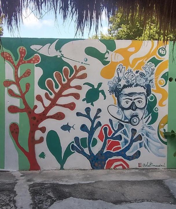 Photo of Others in Colonia Centro