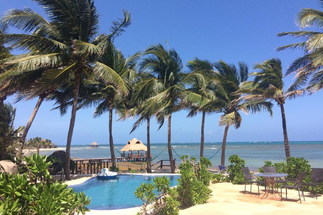 Photo of Others in Puerto Morelos