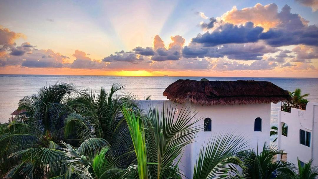 Photo of Others in Puerto Morelos