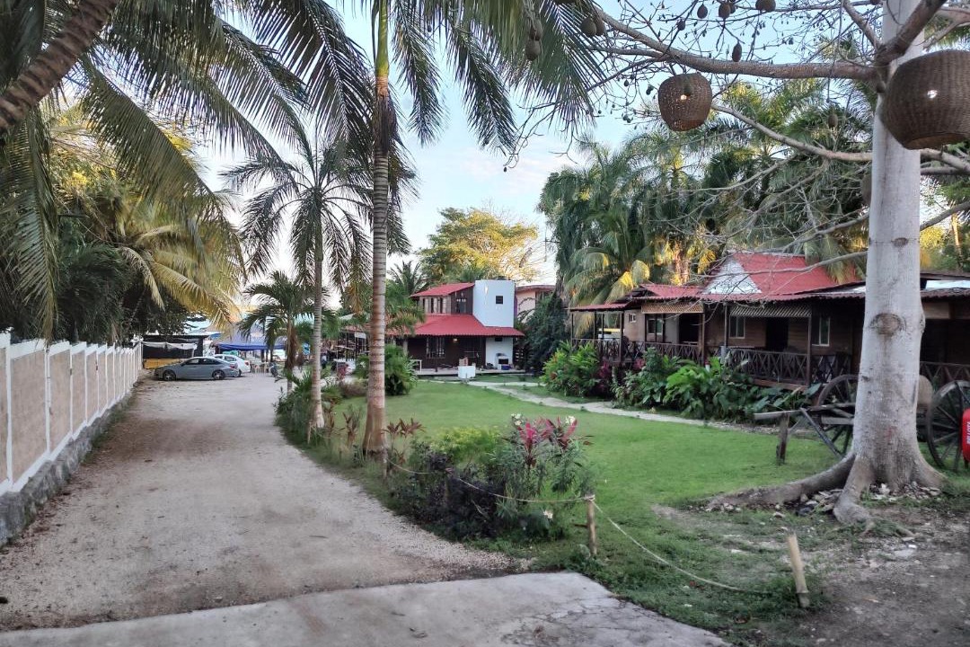 Photo of Others in Chetumal