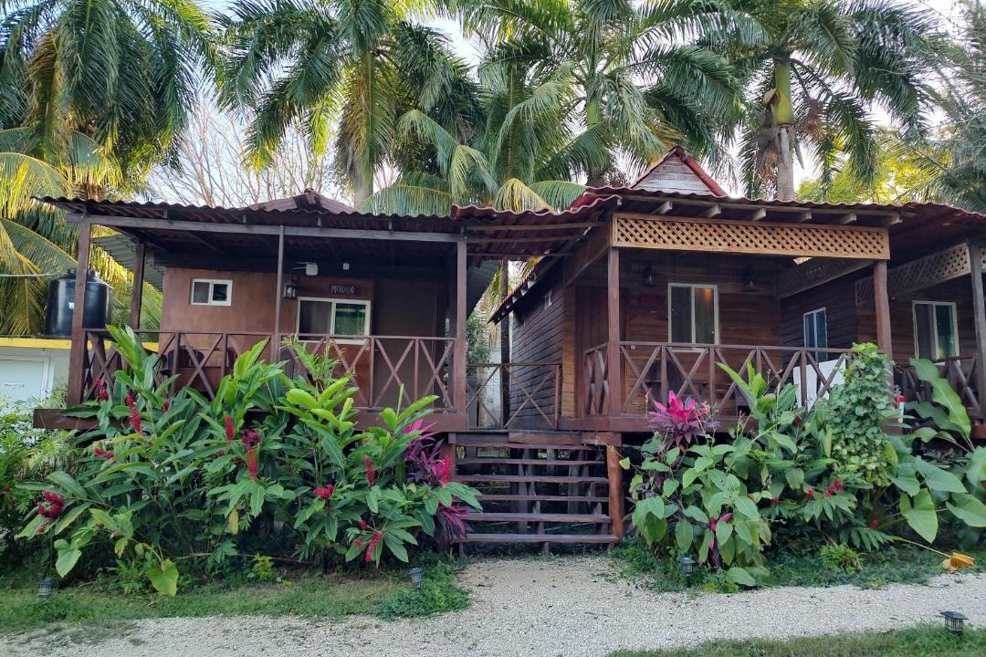Photo of Others in Chetumal