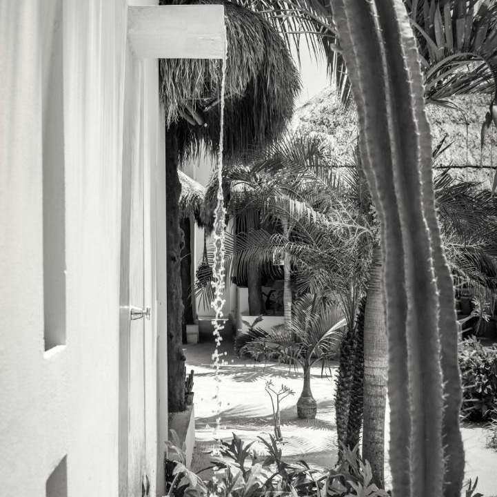 Photo of Others in Isla Holbox
