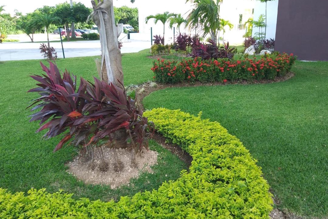Photo of Outdoor in Cancun