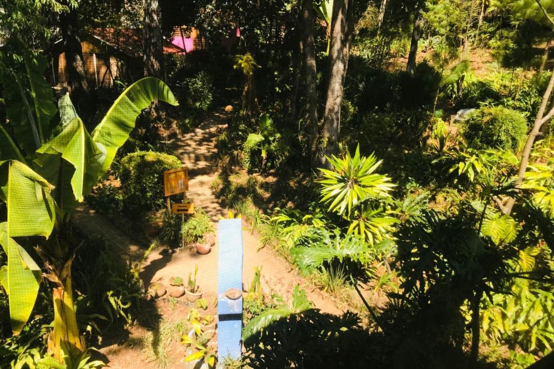 Photo of Others in Del Cerrillo