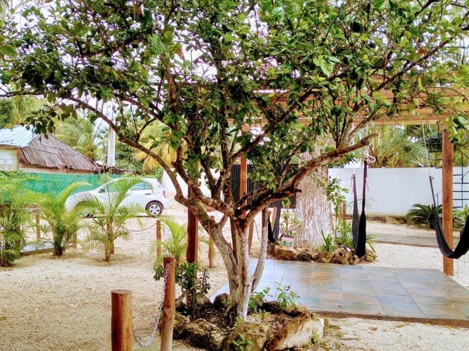 Photo of Others in Bacalar