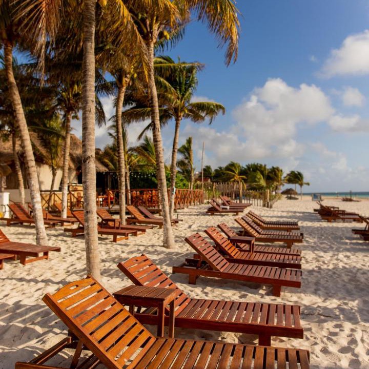 Photo of Others in Puerto Morelos