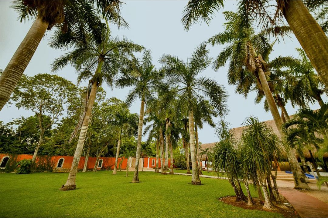 Photo of Others in Chetumal