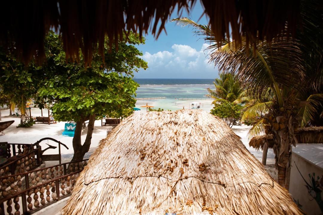 Photo of Others in Mahahual