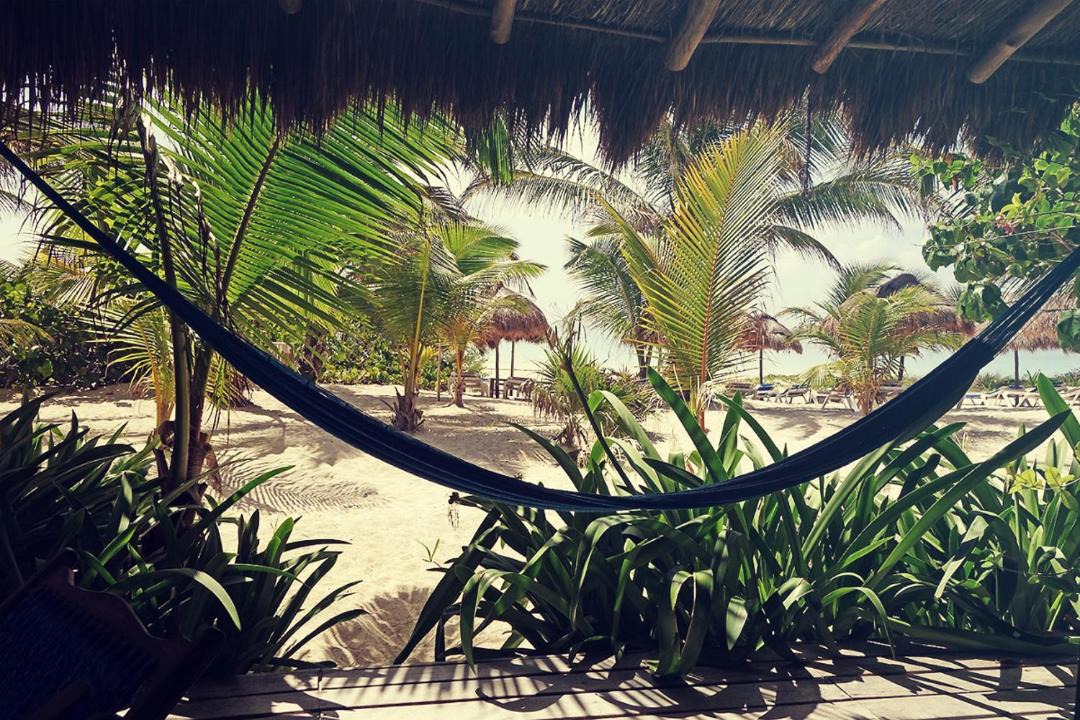 Photo of Others in Mahahual