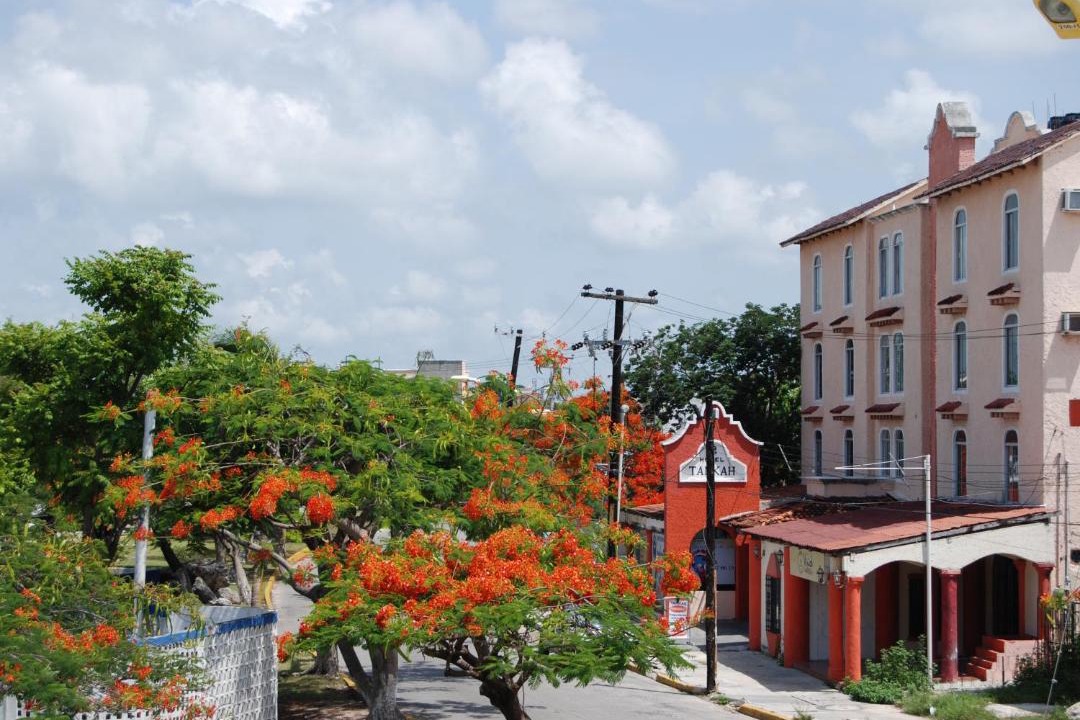 Photo of Others in Downtown Cancun