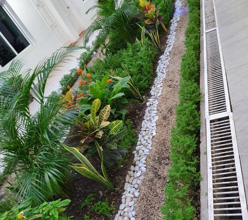 Photo of Buildings in Chetumal