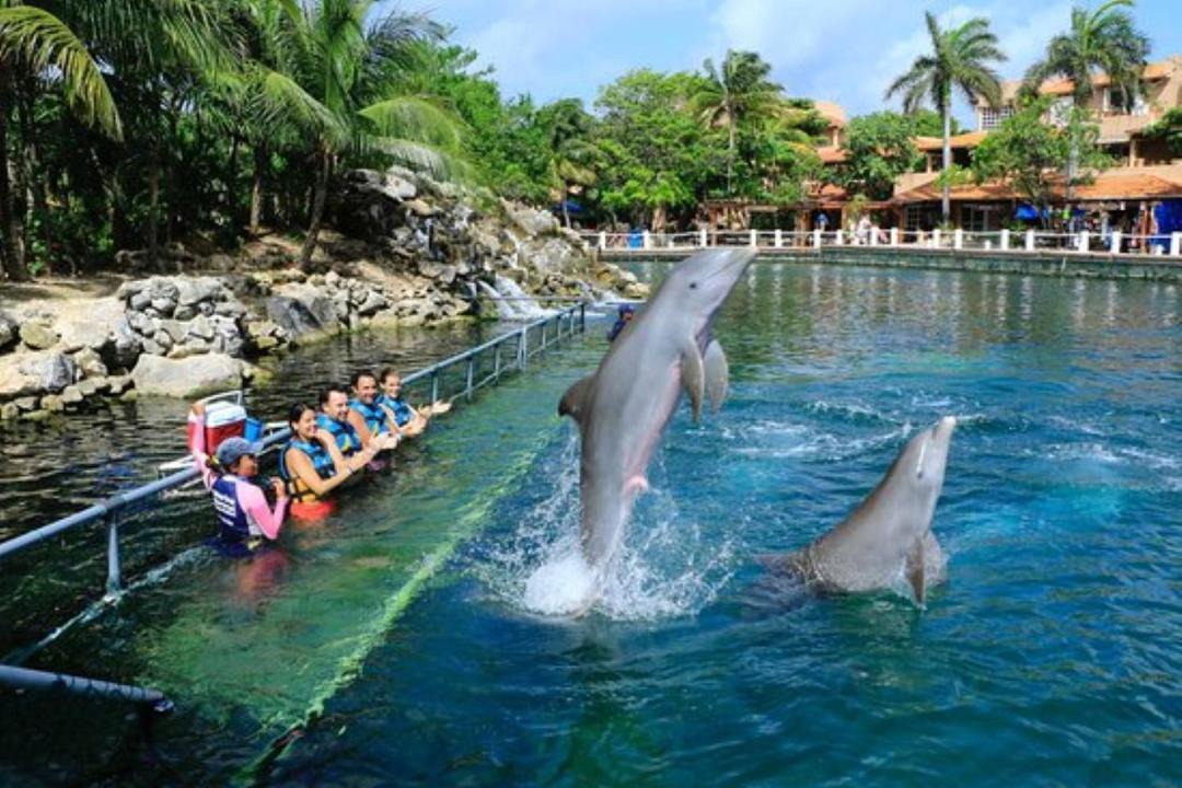 Photo of Others in Puerto Aventuras