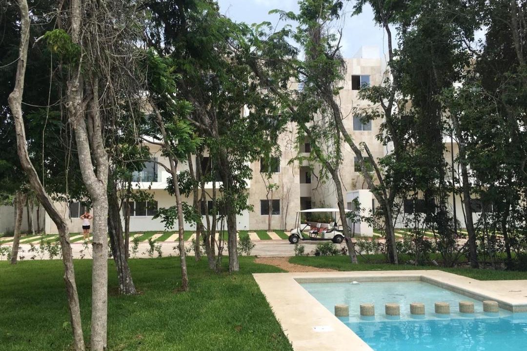 Photo of Outdoor in Puerto Juarez