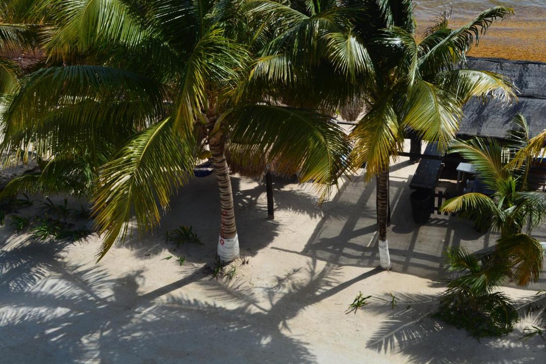Photo of Others in Mahahual
