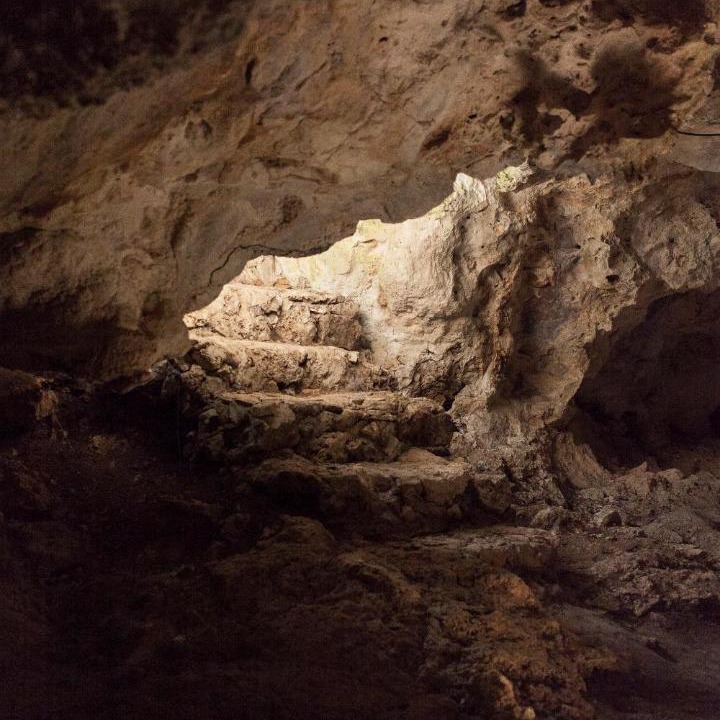 Photo of Others in Chemuyil